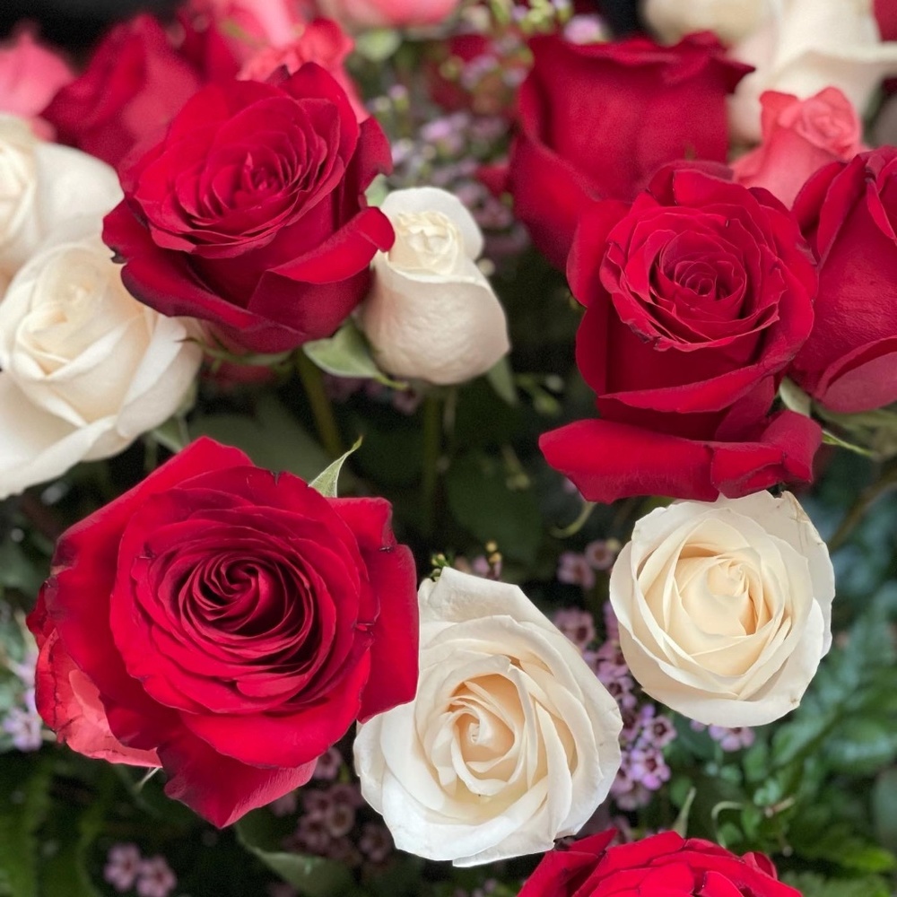 Meet your Posher, Ceem